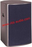 (OEM) Professional Audio Speaker (HX-15)