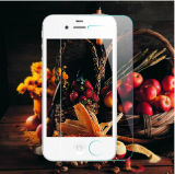 99% Transparency Tempered Screen Protector for iPhone 4/4s,
