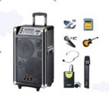 Outdoor Wireless Speaker PRO Audio Hifi Speaker