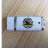 Hot Selling, 32MB-128GB ABS USB Flash Disk / USB Flash Drive