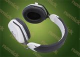 2013 New Wireless Bluetooth Headphone (NK-828BT)