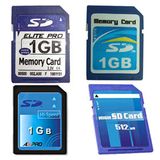 SD Memory Card