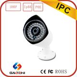 New Design 2MP 1900tvl Poe IP Camera Speaker Microphone