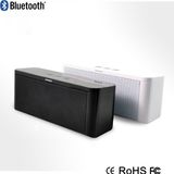 Professional Wireless Bluetooth Speaker