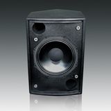 Professiona Speaker, Professional Loudspeaker, PA Audio, PRO Audio (C-10)