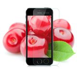 Oleophobic Coating Tempered Glass Screen Protector Film for iPhone5 5s