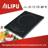 IGBT and Full Touching Mini Induction Cooker with Pot