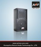 10inch Loudspeaker PRO Audio PPR-310