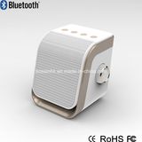 Portable Bluetooth Speaker