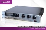 Karaoke Amplifier (M3300)