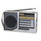 MP3 Radio with USB/TF Player