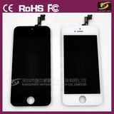 Smart Mobile Phone LCD Touch Screen for iPhone 5/5s