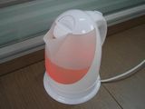 Electric Kettle (T-801) Electric Kettle (T-801)