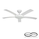 Attitude Fan