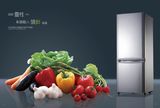 Solar Refrigerator for Saving Energy