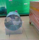 Axial Fan