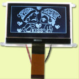 12864 Monochrome LCD Display