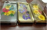 OEM IMD Mobile Phone Case for iPhone 5 & 5s Phone Cover