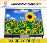 LED Display for LED Text Display Board