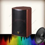 PT-10 Single 10 1200W Speakers Professional