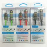 2 in 1 USB Cable for iPhone 6 (RHE-A4-025)