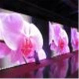 pH8 Indoor LED Display