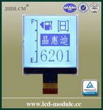 Graphic LCD Module Display with 6'clock