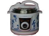 Electric Pressure Cooker (CR-31) 