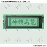 DOT Matrix LCD Display (VS24064)