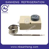 High Quality Heating Thermostat for Refrigerator (F2000)