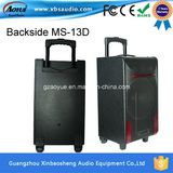 Popular 10 Inches Portable Professional Bluetooth Speaker