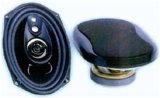 Car Speakers(QY-6947)
