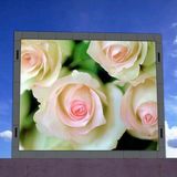 P8 Full Color LED Display/Outdoor Full Color LED Display