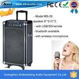 Wireless Portable Speaker Support SD Card and USB Ms-28