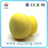 Professional Mini Bluetooth Speaker with FM Function