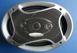 Car Speaker (HW5728)