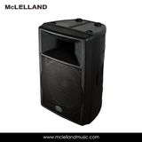 Active Speaker (Perception 15A)