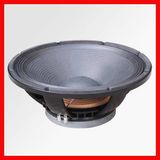 PA Loudspeaker/Professional Audio Woofer (PU)