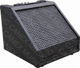 Percussion AMP Dm-10/Drum AMP Dm-10/Amplifier