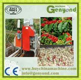 Electricity Type Green Coffee Bean Processing Machine