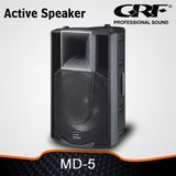 PRO Audio 15 Inch Plastic Powered Speaker