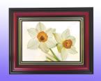 Digital Photo Frame SH-15A