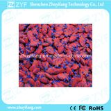 Custom Human Heart Shape USB Flash Drive (ZYF5002)