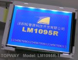 192128 LCD Module (LM1095R) , LCD Screen