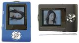 Color MP3 Player -Color image display  (MAS-MP3-C04)