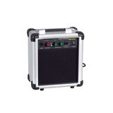 Portable Acoustic Guitar Amplifier (GM-210)