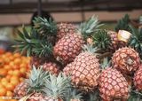 Cold Room Refrigerator for Ananas