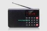 Portable Audio Player with Radio