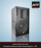 CE Approved Powerful PRO Audio Speaker