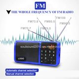 Portable TF Card Speaker with FM Radio (N519)